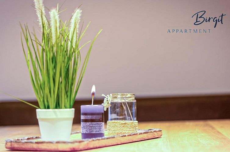 Apartment Birgit