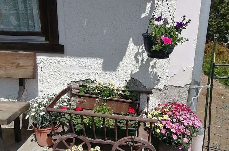 Appartement Riedbach in Mutters