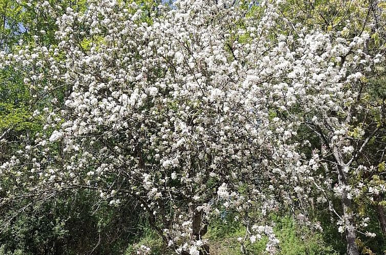 Appartement Riedbach in Mutters