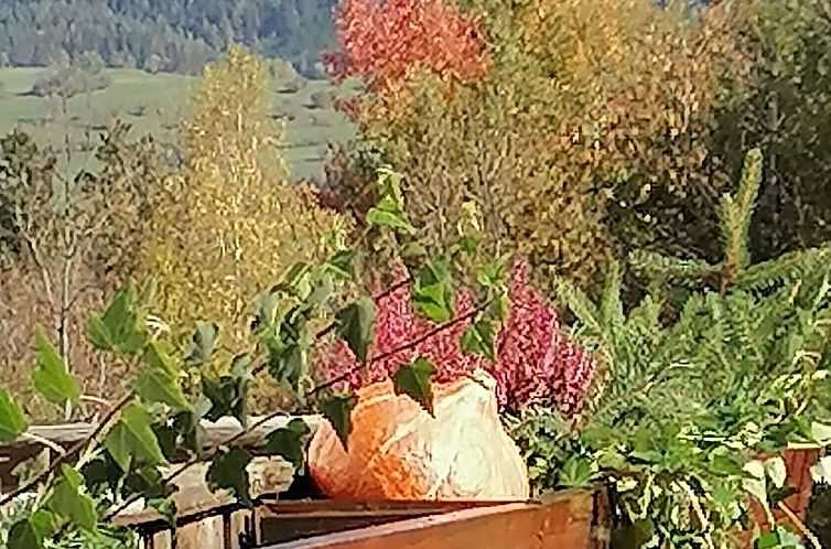 Appartement Riedbach in Mutters