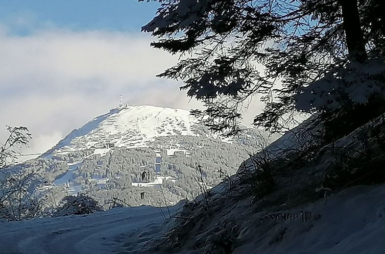 Appartement Riedbach in Mutters