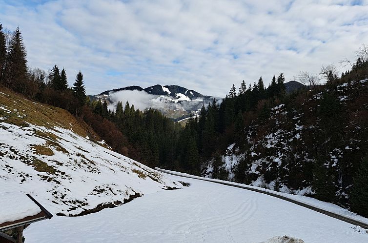 Appartement Waldruhe