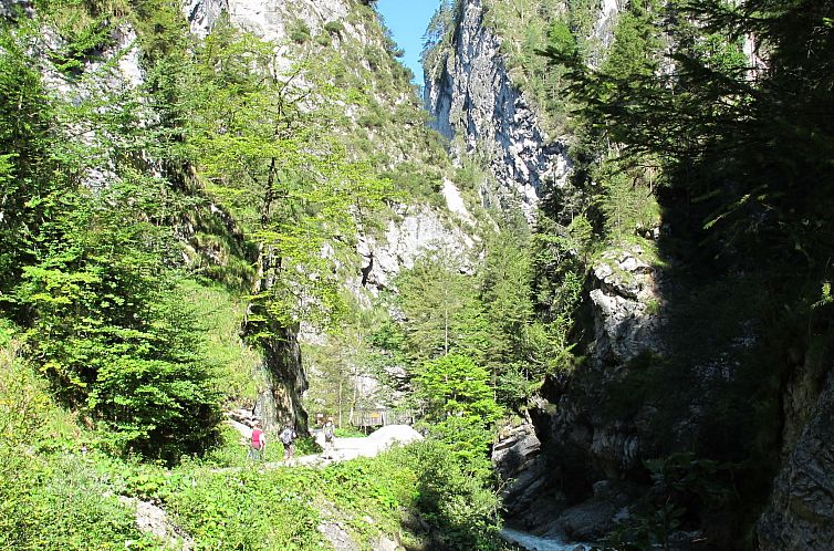 Appartement Waldruhe