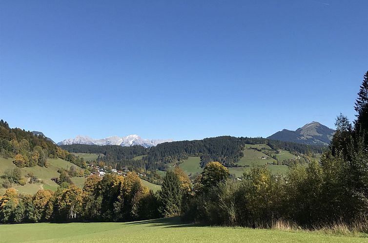 Appartement Wiesenduft