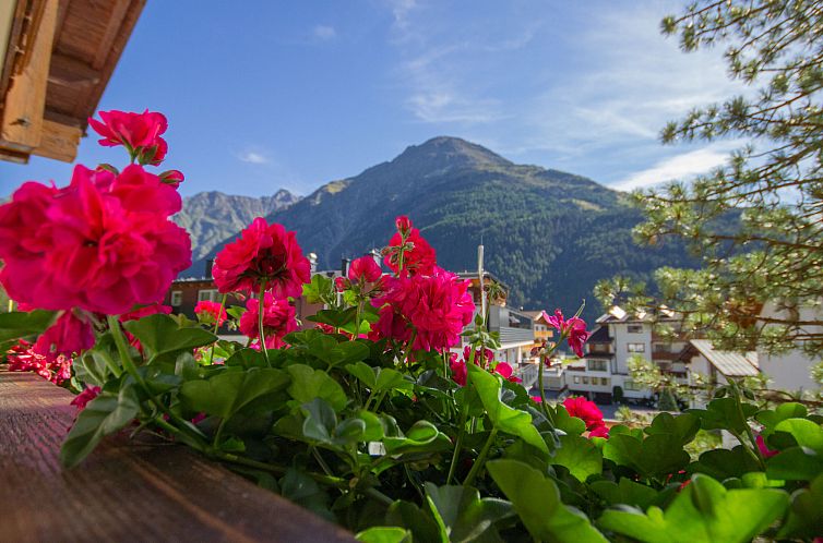 Appartement Alpin