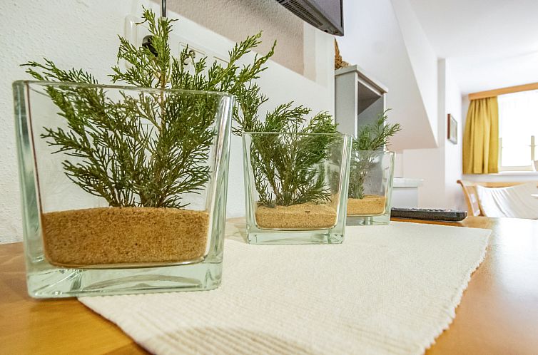 Appartement Beim Holzschnitzer