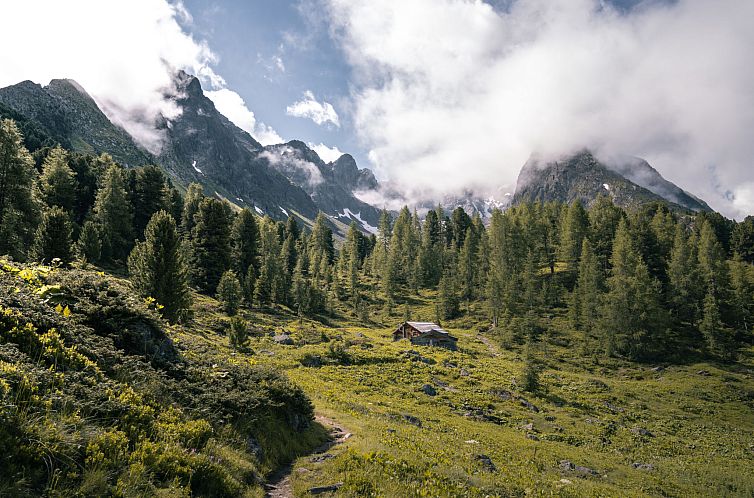 Appartement Silvretta