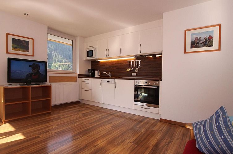 Appartement Bergpanorama in Kappl