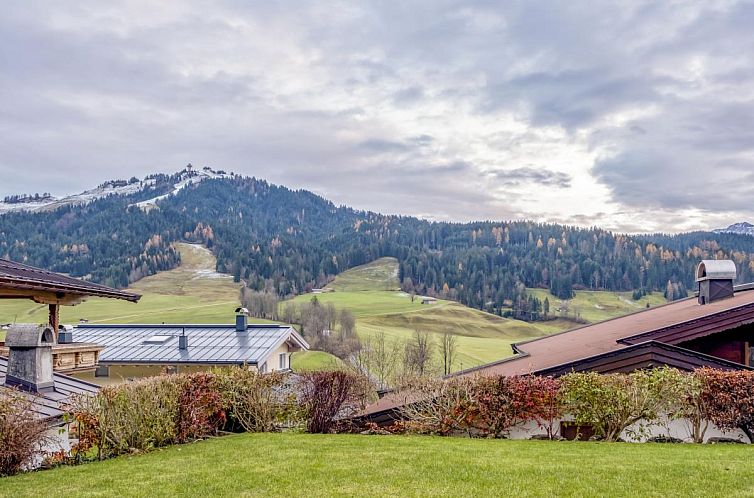 Berg und Blüte I