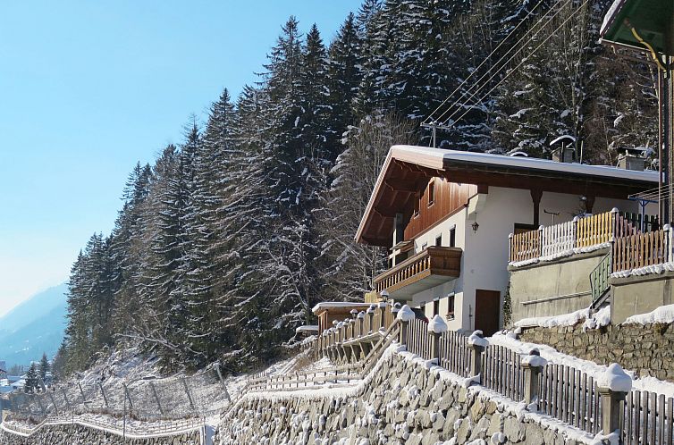 Guest house 1164271 - Apartment Tyrol - Appartement Hedwig Jäger