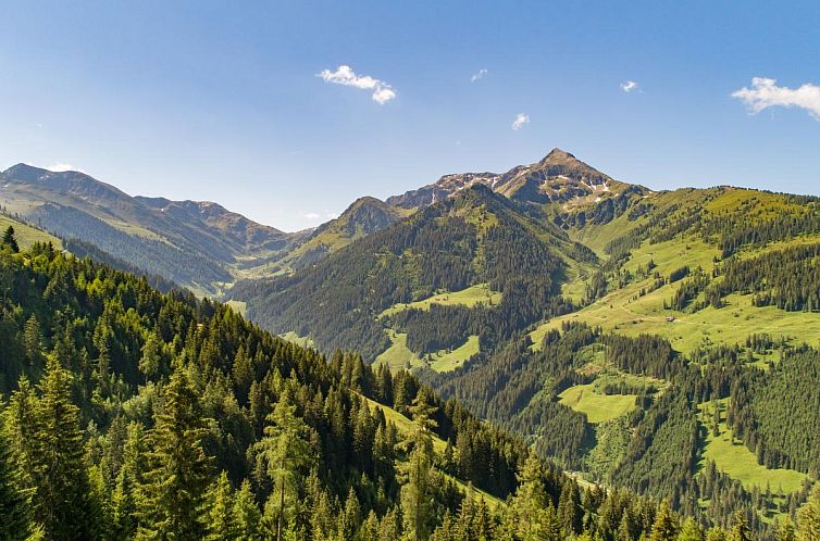EAGGA-Niederleger Alm