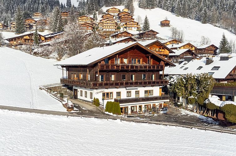 Snowy landscape around Landhaus Christina Top 3 in Alpbach, Tyrol, perfect vacation home for winter sports.