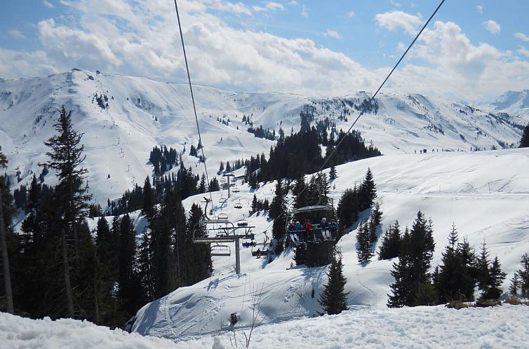 Apartment Erich Brixen