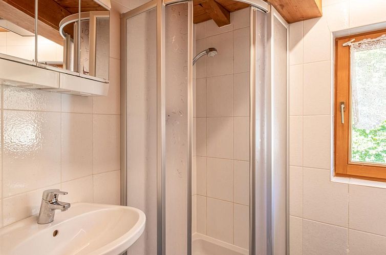 Appartement Brixnerwirt IV