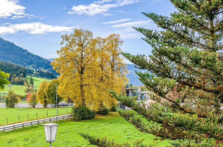Appartement Brixnerwirt IV