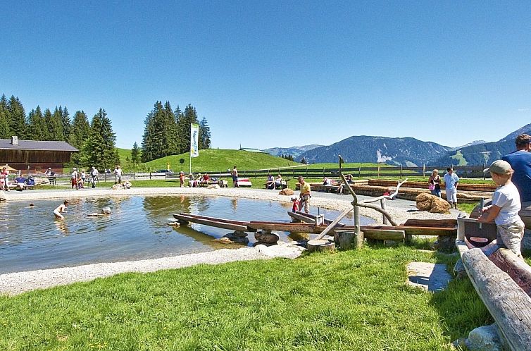 Appartement Alpenblick