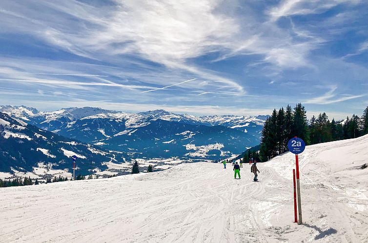 Appartement Alpenblick