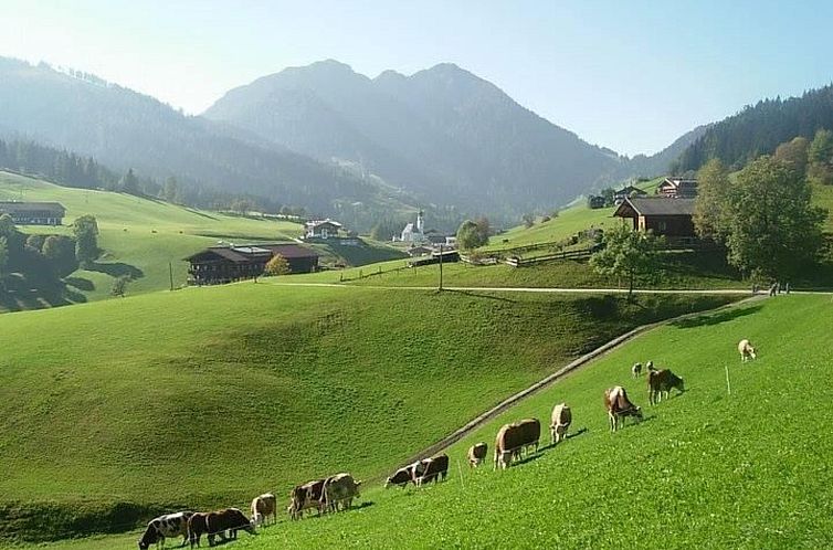 Appartement Fewo Bergblick