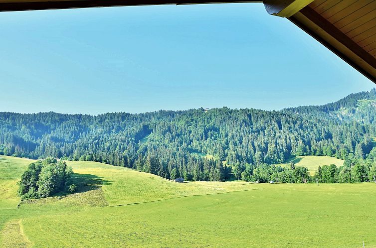 Appartement Fewo Bergblick