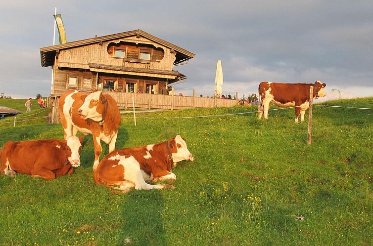Appartement Fewo Bergblick