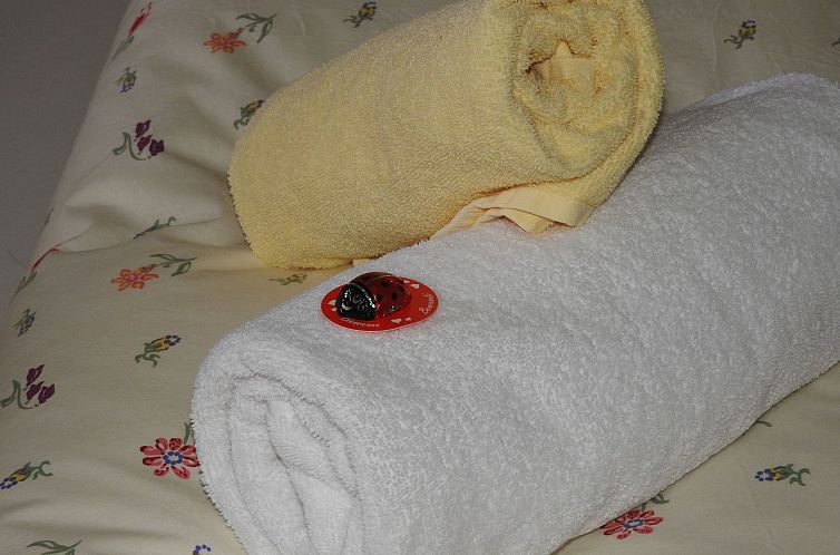 Appartement Appartement in Wildschönau-Niederau