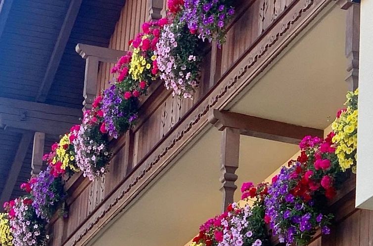 Appartement Appartement in Wildschönau-Niederau