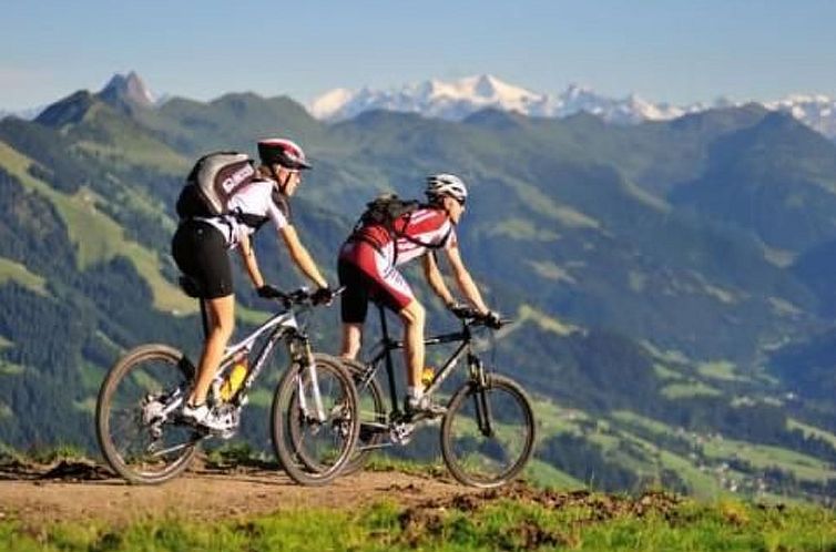 Appartement Luxuswohnung im Tiroler Almstil