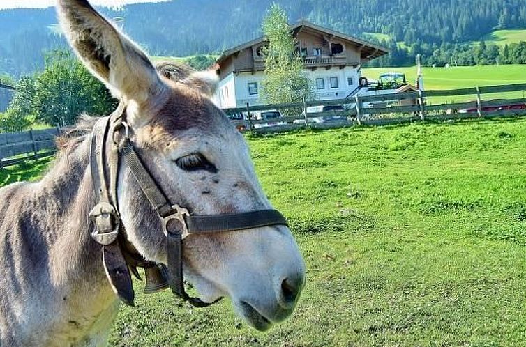 Appartement Luxuswohnung im Tiroler Almstil