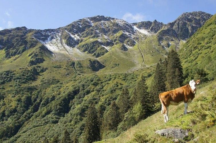 Appartement Luxuswohnung im Tiroler Almstil