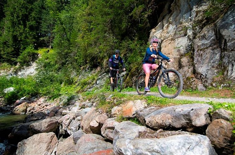 Appartement Appartement Bergpanorama