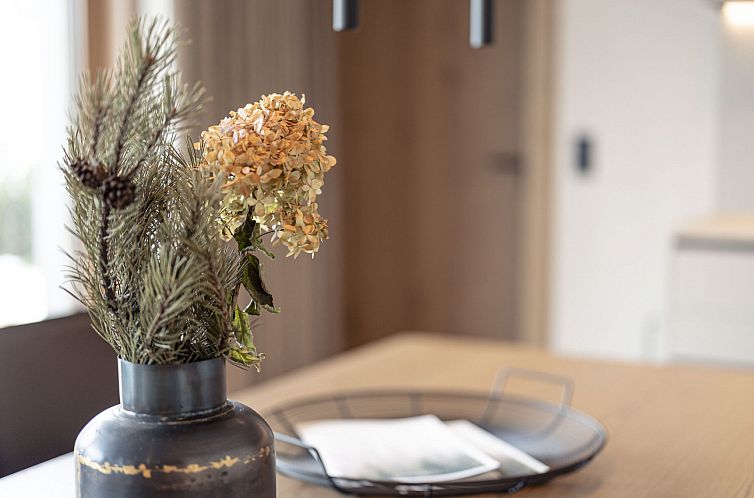 Appartement Superior mit 2 Schlafzimmern