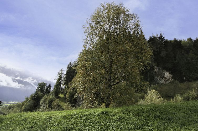 Appartement Ratschnhäusl