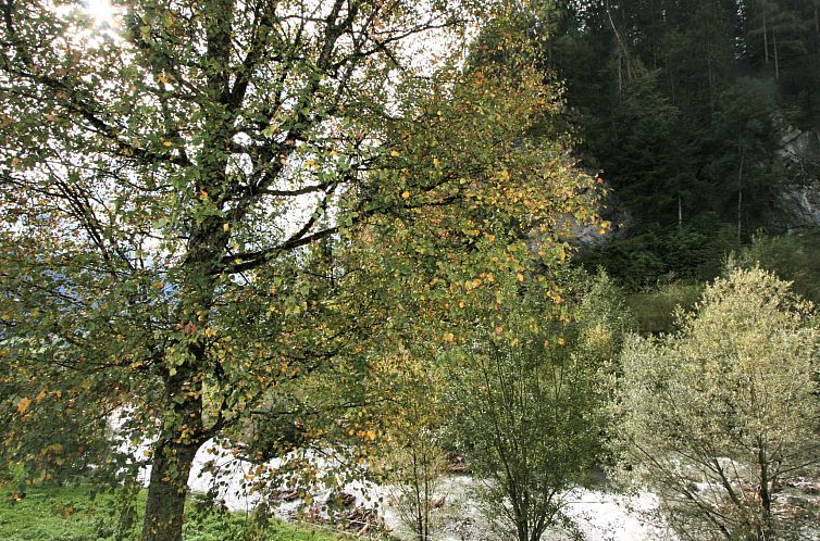 Appartement Ratschnhäusl