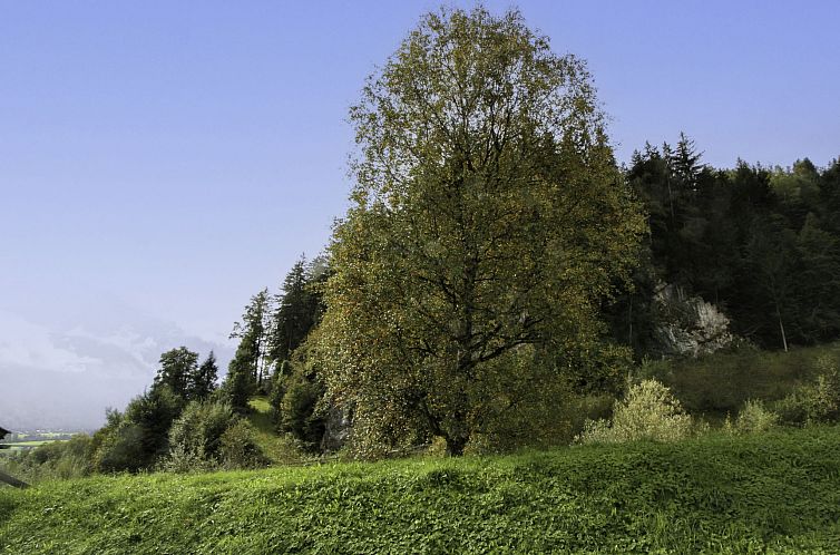 Appartement Ratschnhof