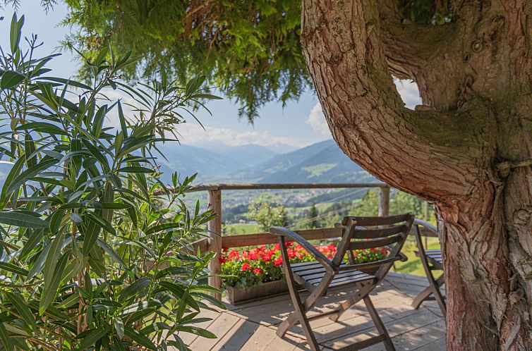 Appartement Brandegg Top 2