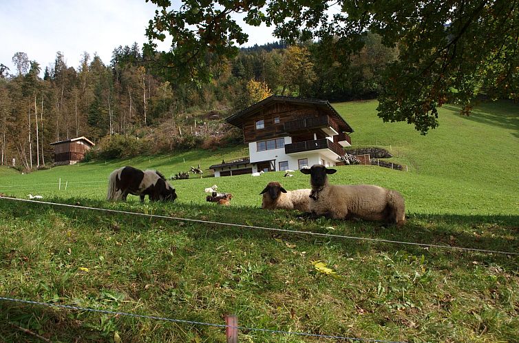 Vakantiehuis Sunny Hideaway