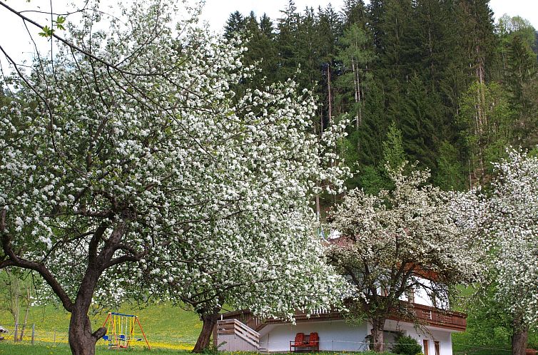 Vakantiehuis Haus der Natur