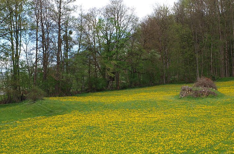 Vakantiehuis Haus der Natur