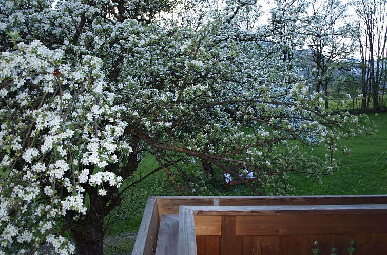 Vakantiehuis Haus der Natur