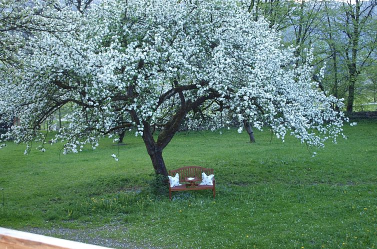 Vakantiehuis Haus der Natur