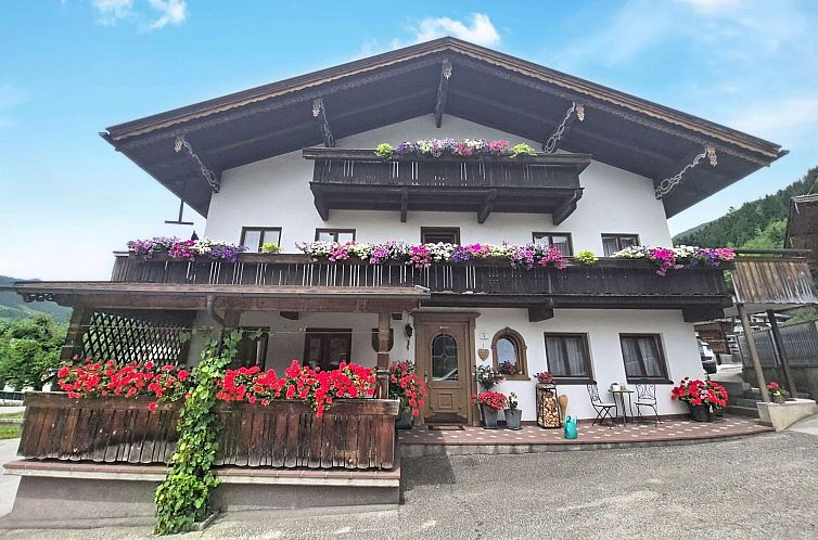 Guest house 1167682 - Apartment Tyrol - Appartement Holzegger