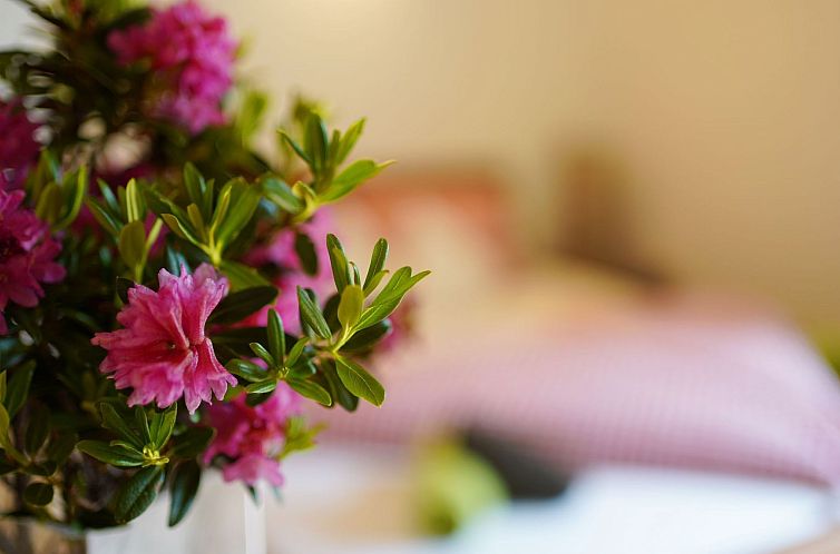 Appartement Sonnenhof