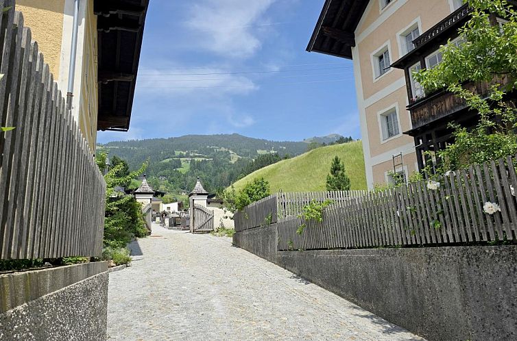 Hopfgarten Alpin Living Top 2