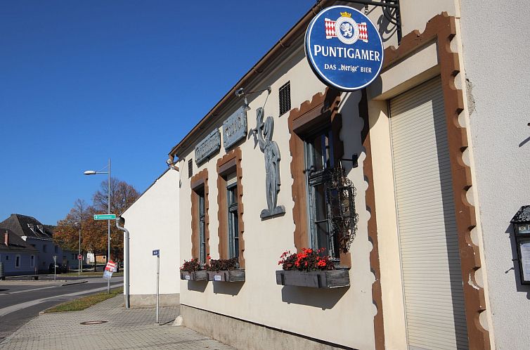 Guest house 1170201 - Holiday property Burgenland - Vakantiehuis Friedl