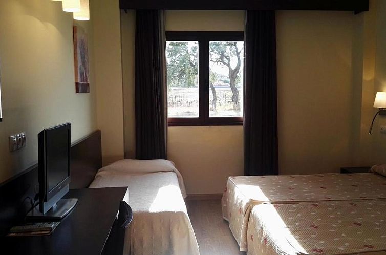 Hotel Tudanca-Aranda II