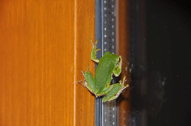 Vakantiehuisje in Eberau