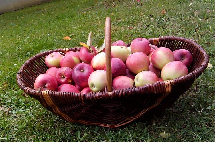 Vakantiehuisje in Eberau