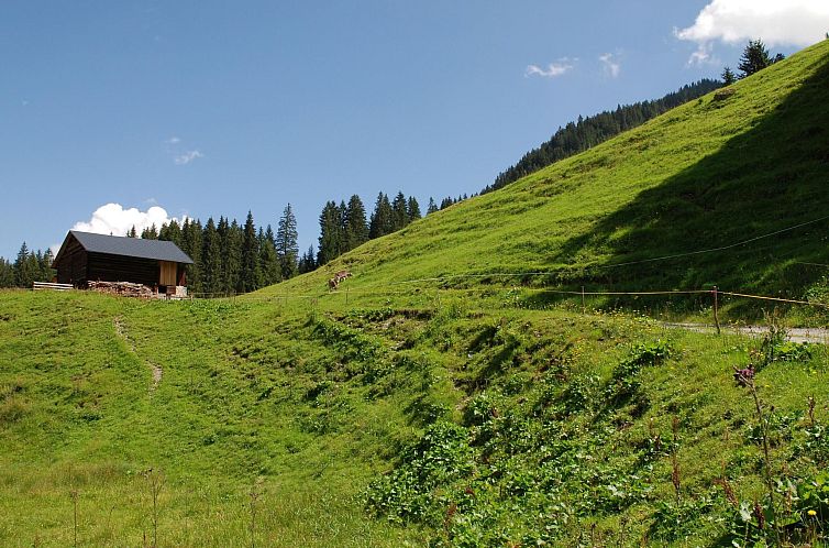 Appartement Bohemia 3 in Sankt Gallenkirch