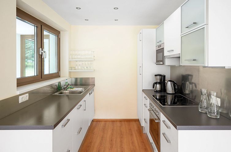 Appartement Bohemia 4 in Sankt Gallenkirch