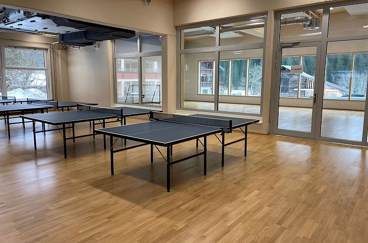 Appartement Luxuswohnung, Pistenblick, Nähe Skilift, Mittel